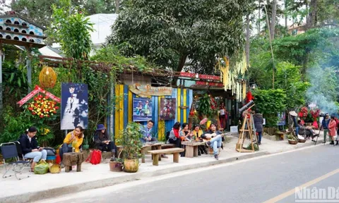 Thưởng lãm “Ánh sáng nghệ thuật” trên Cung đường nghệ thuật Đà Lạt