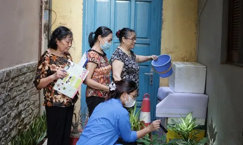 Hà Nội: Ghi nhận hơn 100 ca mắc sốt xuất huyết mới