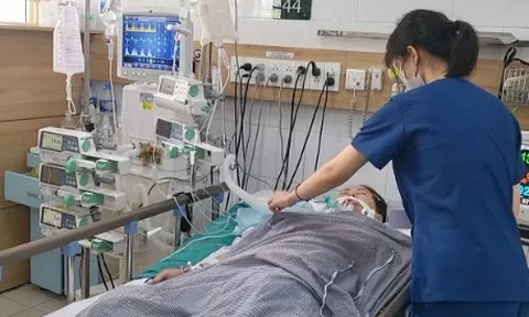 Uống nhầm thuốc sắc từ rễ cây lá ngón, một người phụ nữ tử vong