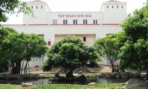 Khai thác khoáng sản 'chui', Sơn Hải Group bị phạt nặng