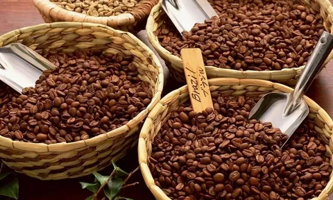 Điểm tên 10 thị trường xuất khẩu cà phê của Việt Nam có kim ngạch trên 100 triệu USD