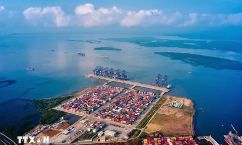Bộ trưởng Công Thương đề xuất Chủ tịch FIATA hỗ trợ gỡ khó về cước vận tải biển