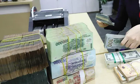 Trình tự cấp Giấy phép, hoạt động của tổ chức tài chính vi mô