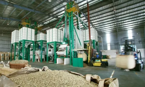 Tận dụng hiệu quả C/O, khơi mở 'cao tốc' dẫn vào thị trường EU