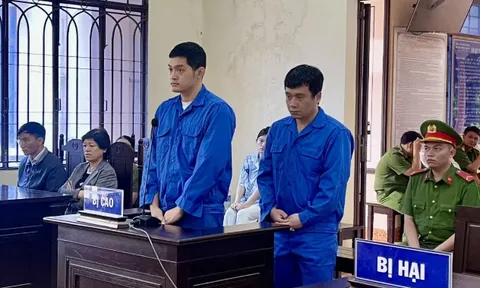 Đồng Nai: Phó Giám đốc và tài xế Công ty Thành Bưởi lĩnh hơn 14 năm tù