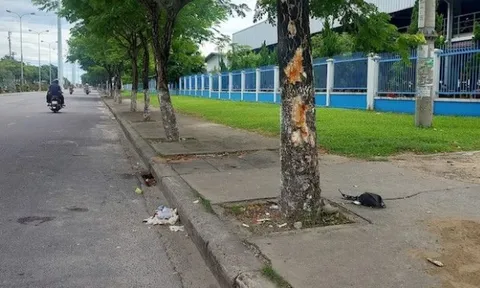 Điều tra nguyên nhân vụ tai nạn giao thông khiến 3 người tử vong