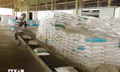 Tìm kiếm cơ hội mở rộng hợp tác với các địa phương Canada