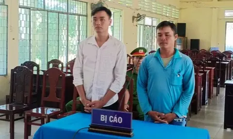 Đồng Tháp: Trộm bốn cây mai cảnh, hai gã 'đạo chích' lĩnh 16 tháng tù