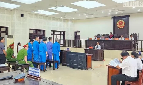 Nhận hối lộ, nhiều cựu lãnh đạo quận Cẩm Lệ và thuộc cấp lãnh án