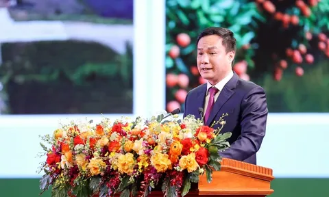 PGS.TS Triệu Thế Hùng giữ chức Phó Chủ nhiệm Ủy ban Văn hóa, Giáo dục của Quốc hội