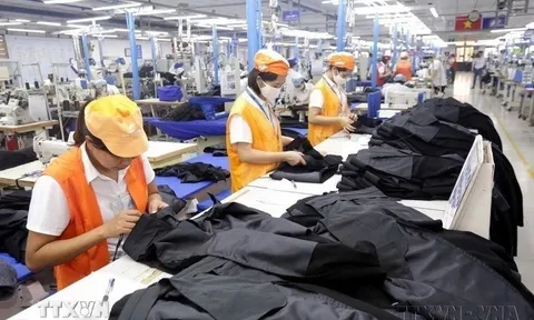 Doanh nghiệp thành lập mới tại Hà Nội tăng mạnh trong tháng 7