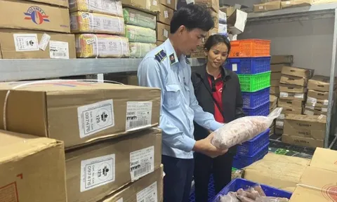 Tạm giữ hơn nửa tấn thực phẩm đông lạnh không rõ nguồn gốc xuất xứ