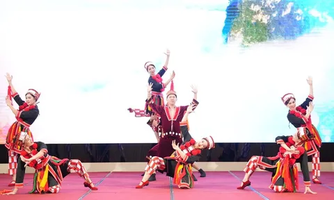 Lễ hội Thành Tuyên năm 2024 có quy mô quốc tế