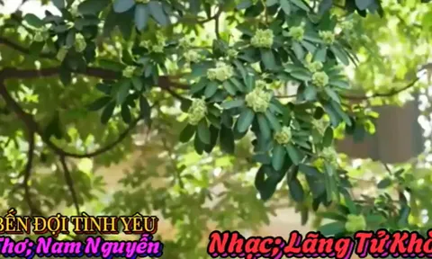 Bến đợi tình yêu - Giai điệu tâm sự đầy xúc cảm