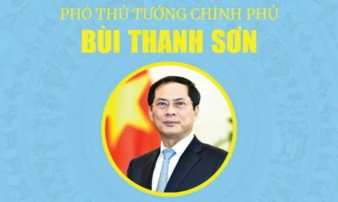 Thủ tướng phân công nhiệm vụ Phó Thủ tướng Chính phủ Bùi Thanh Sơn
