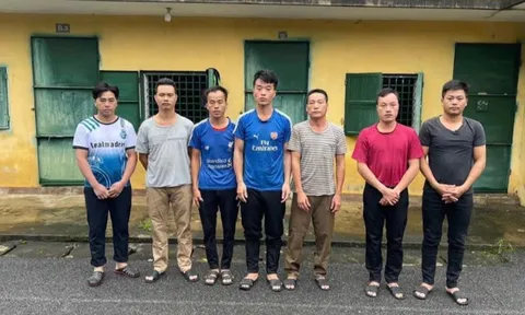 Khởi tố, bắt tạm giam 7 đối tượng chặt phá rừng trái phép