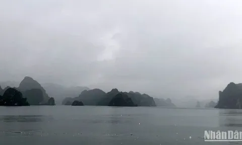 Giữ an toàn cho người và tài sản, tạm dừng các hoạt động vui chơi, giải trí tại địa phương chịu ảnh hưởng bởi mưa bão