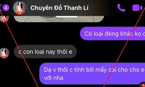Điều tra vụ án lừa đảo chiếm đoạt tài sản trên không gian mạng