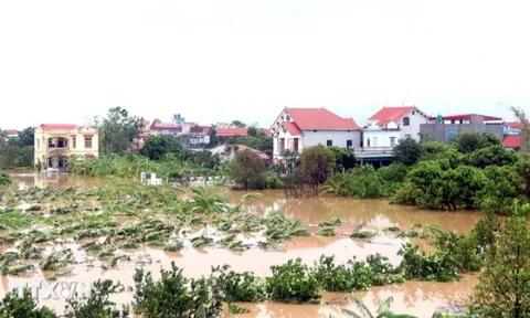 Thời tiết tốt dần, vùng ngoài đê sông Hồng tại Hà Nội sẽ rút nước sau 2-3 ngày tới