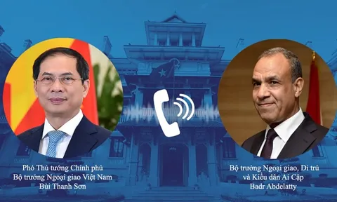 Nâng cao hiệu quả các cơ chế hợp tác song phương Việt Nam - Ai Cập
