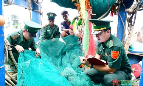 Phát hiện 3 tàu vi phạm quy định đánh bắt hải sản