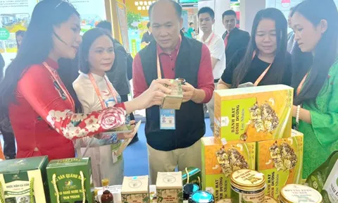 Quảng Nam tổ chức quảng bá, xúc tiến du lịch tại Trung Quốc