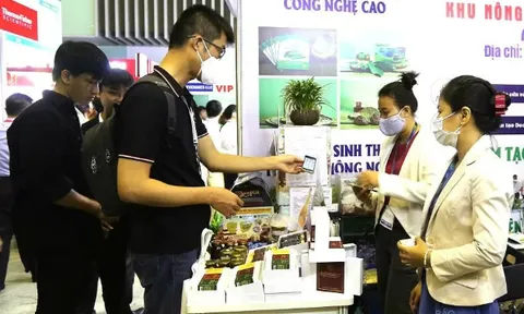 Sức hấp dẫn của sự kiện kết nối công nghệ và đổi mới sáng tạo Việt Nam năm 2024