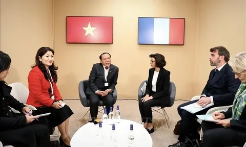 Bước phát triển mới trong quan hệ hợp tác văn hóa Việt - Pháp