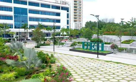 9 cơ sở giáo dục đại học Việt Nam vào Xếp hạng đại học thế giới Times Higher Education 2025