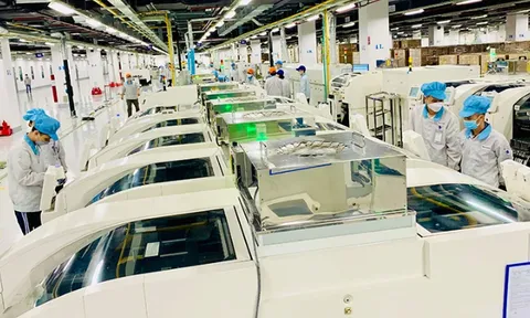 Hải Phòng đẩy nhanh phát triển khu kinh tế ven biển