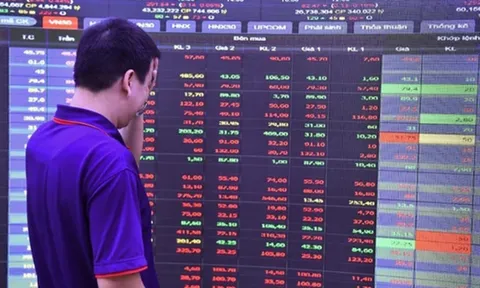 Hàng loạt cổ phiếu lớn lao dốc, VN-Index giảm hơn 13 điểm