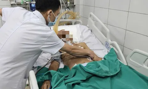 Một bệnh nhân nguy kịch vì nhiễm giun lươn lan tỏa