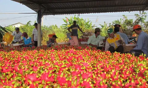 Xuất siêu nông, lâm, thủy sản đạt 13,86 tỷ USD