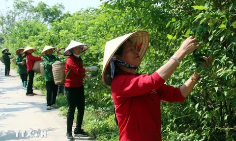 Những chính sách kinh tế nào sẽ có hiệu lực từ tháng 11 sắp tới?