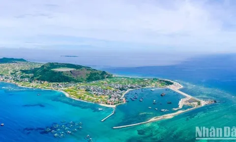 Quảng Ngãi cấm khai thác thủy sản có thời hạn 2 khu vực vùng biển ven bờ