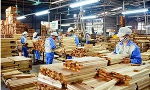 Kim ngạch xuất khẩu nông lâm thủy sản 10 tháng tăng 20,2%