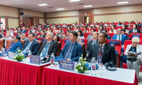 Sinh viên tiếp cận nền giáo dục quốc tế chất lượng cao mà không cần du học