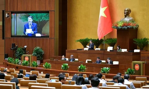 Hôm nay (8-11), Quốc hội thảo luận về sửa đổi Luật Quảng cáo, Luật Hóa chất