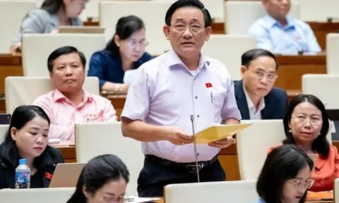 Đại biểu Quốc hội: Bổ sung loại hình điện gió ngoài khơi cần bảo đảm quốc phòng, an ninh