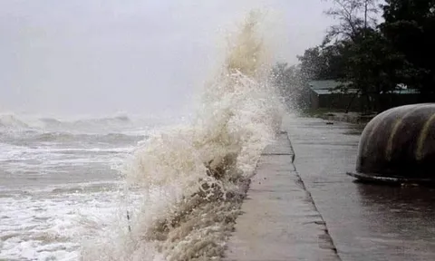 Các tỉnh từ Quảng Ninh đến Bình Thuận chủ động ứng phó bão số 9