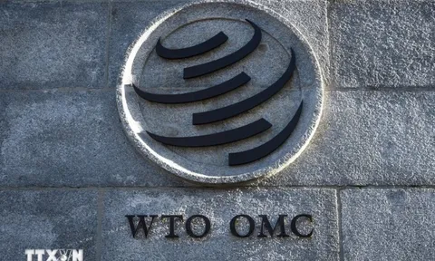 Việt Nam tham gia phiên rà soát chính sách thương mại của Nigeria tại WTO