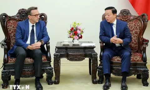 Phó Thủ tướng Trần Hồng Hà tiếp Phó Chủ tịch Tập đoàn Vận tải biển-Logistic Pháp