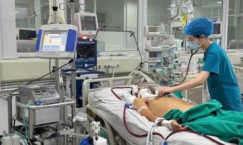 Người đàn ông nguy kịch do nhiễm vi khuẩn Whitmore
