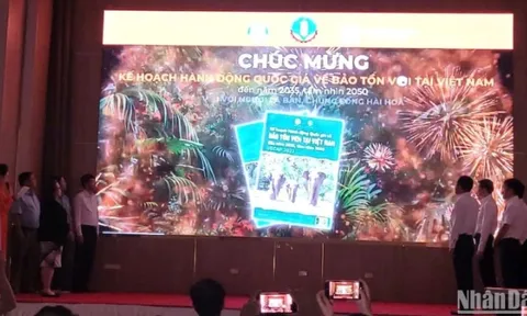 Chung tay hành động bảo tồn voi tại Việt Nam