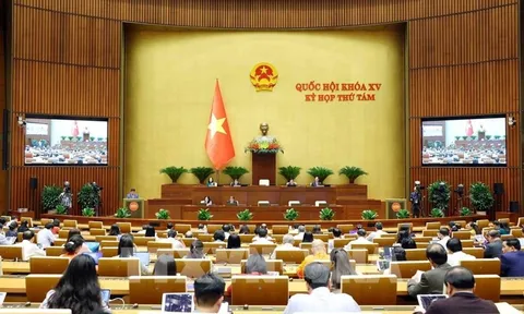 Kỳ họp thứ tám, Quốc hội khóa XV: Thảo luận về Luật Thuế thu nhập doanh nghiệp (sửa đổi)