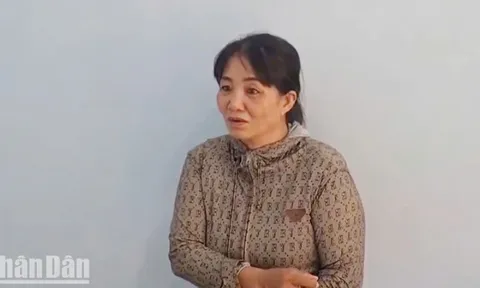 Kiên Giang: Bắt khẩn cấp "mẹ nuôi" hành hung bé gái làm mất vé số