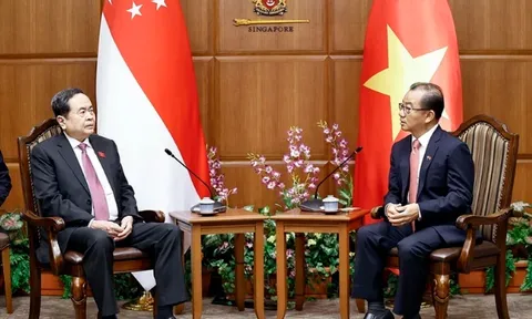 Việt Nam và Singapore tăng cường giám sát trong triển khai các hiệp định về lĩnh vực kinh tế xanh, kinh tế số