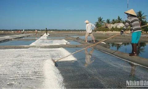 Nghề làm muối Sa Huỳnh trở thành Di sản văn hóa phi vật thể quốc gia