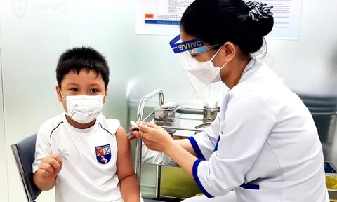 Đã có hơn 80 trường hợp tử vong do bệnh dại