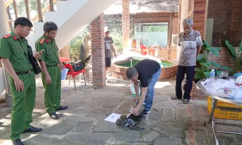 Thả cá thể rùa biển quý hiếm về tự nhiên